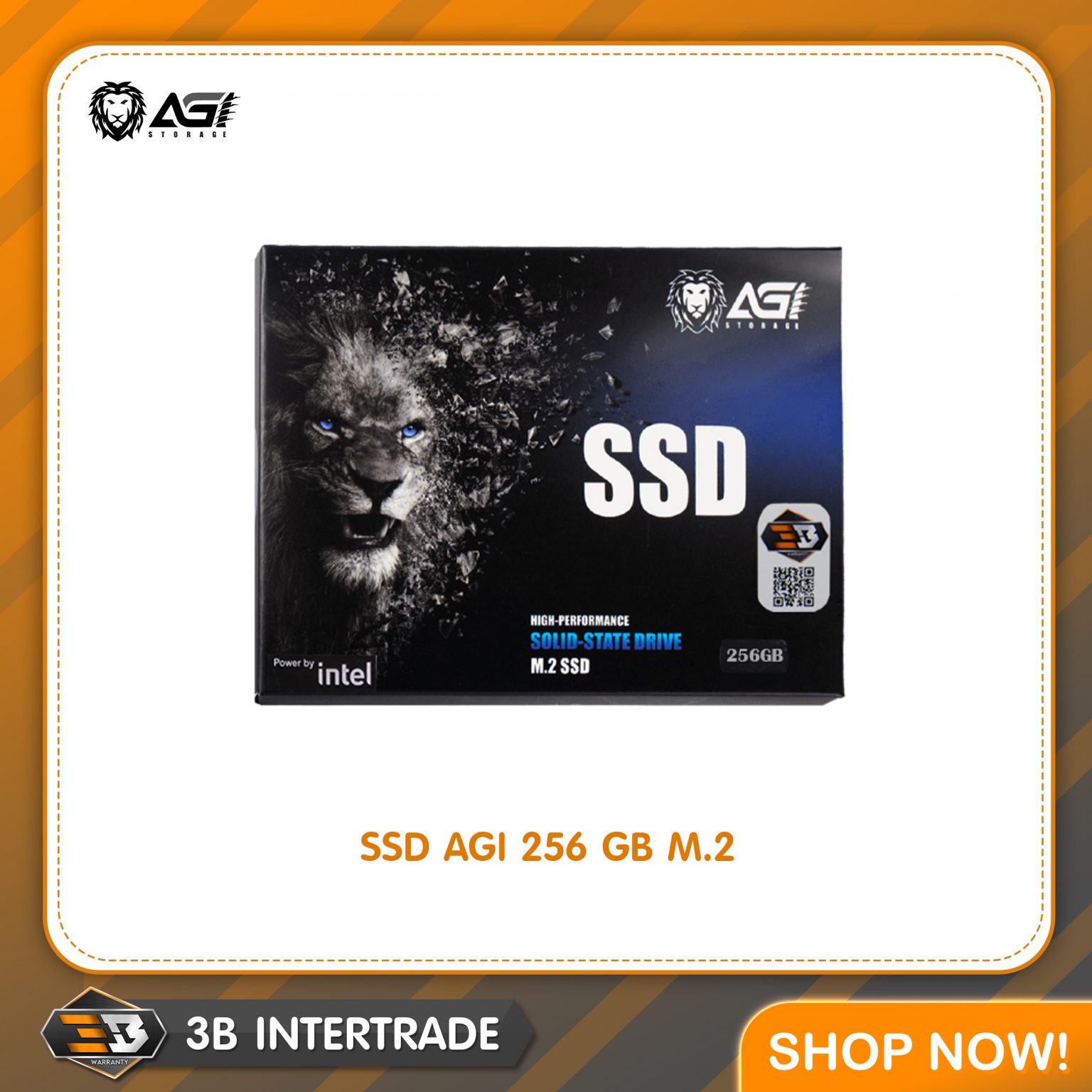 SSD AGI 256GB M.2 (AGI256G16AI198)