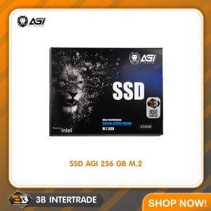 SSD AGI M.2 256GB