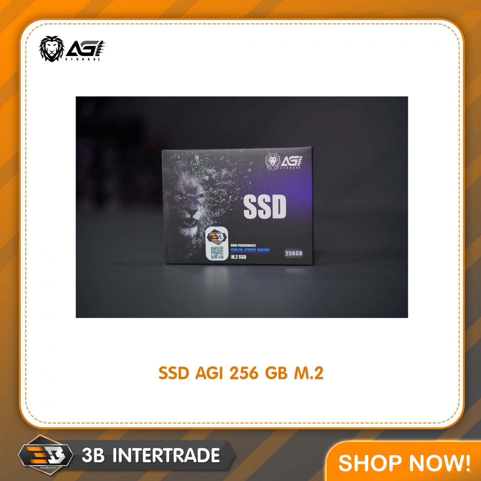 SSD AGI 256 GB M.2 (AGI256G16AI198)