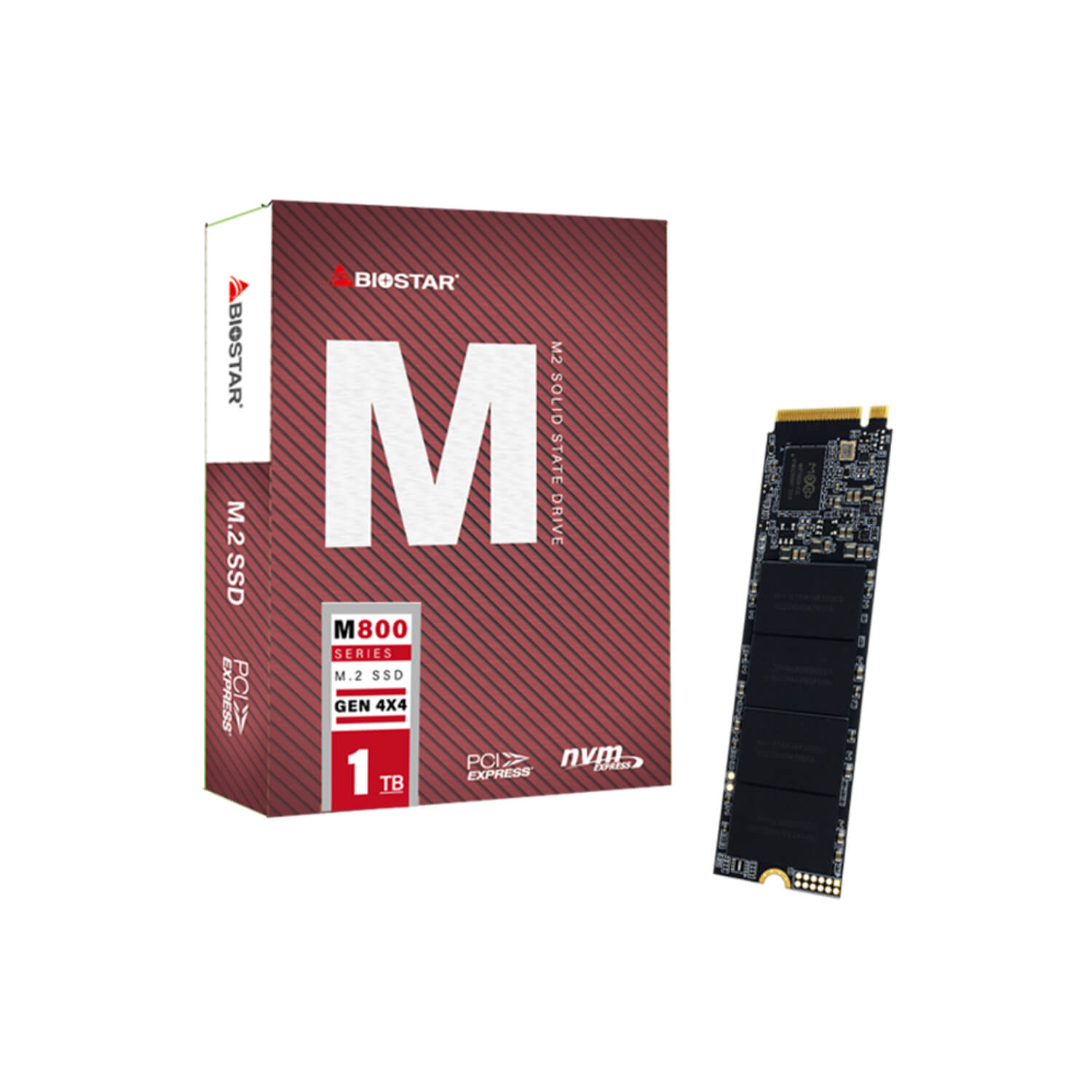 SSD (เอสเอสดี) M.2 BIOSTAR M800 1TB