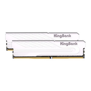 kingbank ram sillver(2)